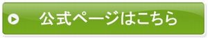 プロミス公式ページ